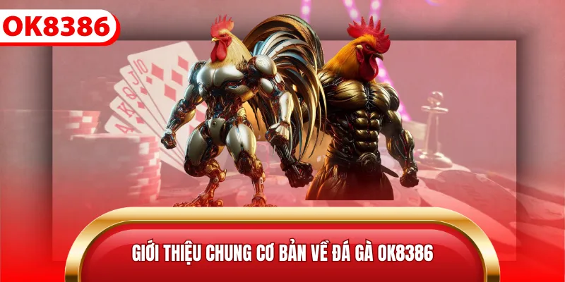 Giới thiệu chung cơ bản về đá gà Ok8386