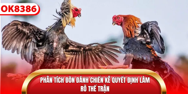 Phân tích đòn đánh chiến kê quyết định làm rõ thế trận