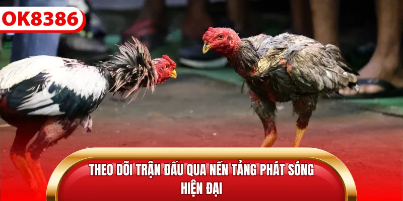 Theo dõi trận đấu qua nền tảng phát sóng hiện đại
