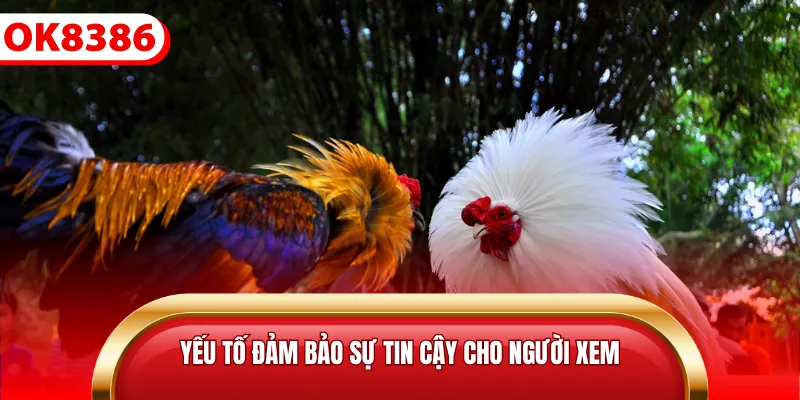 Yếu tố đảm bảo sự tin cậy cho người xem