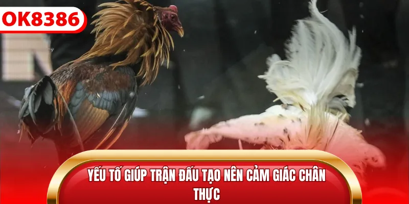 Yếu tố giúp trận đấu tạo nên cảm giác chân thực